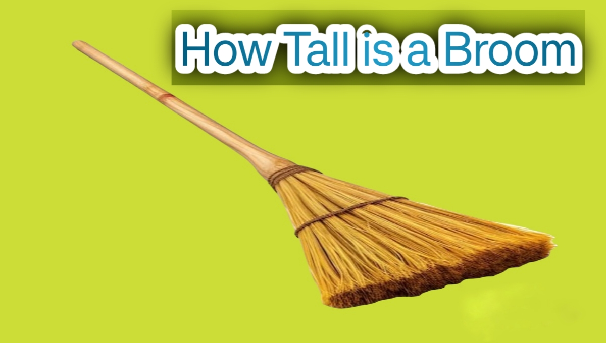 How Tall is a Broom