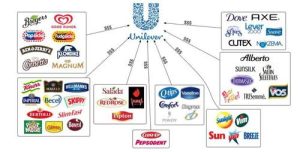Luxury Brand Hierarchy