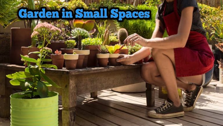 How to Start a Vegetable Garden in Small Spaces: Grow Big!