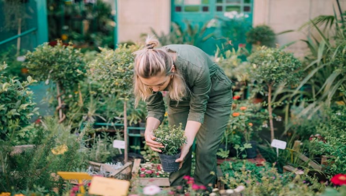 Start a Vegetable Garden in Small Spaces